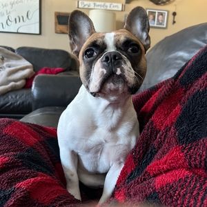 Meet your Posher, Hilary